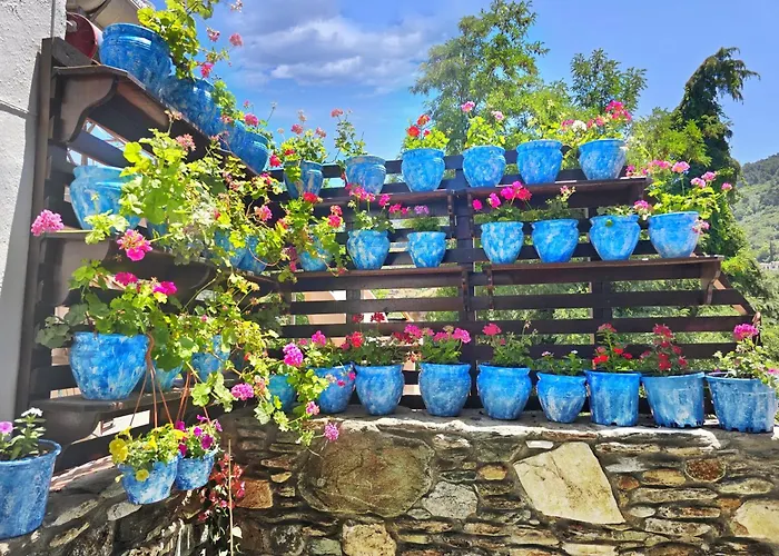 Bed and breakfast Sirincem *